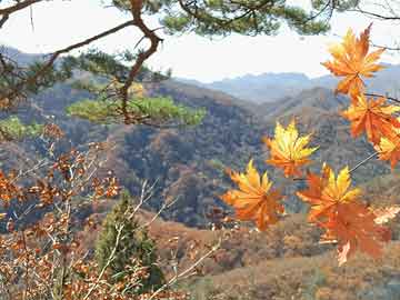 华东医药微生物板块估值-华东医药微生物板块估值多少